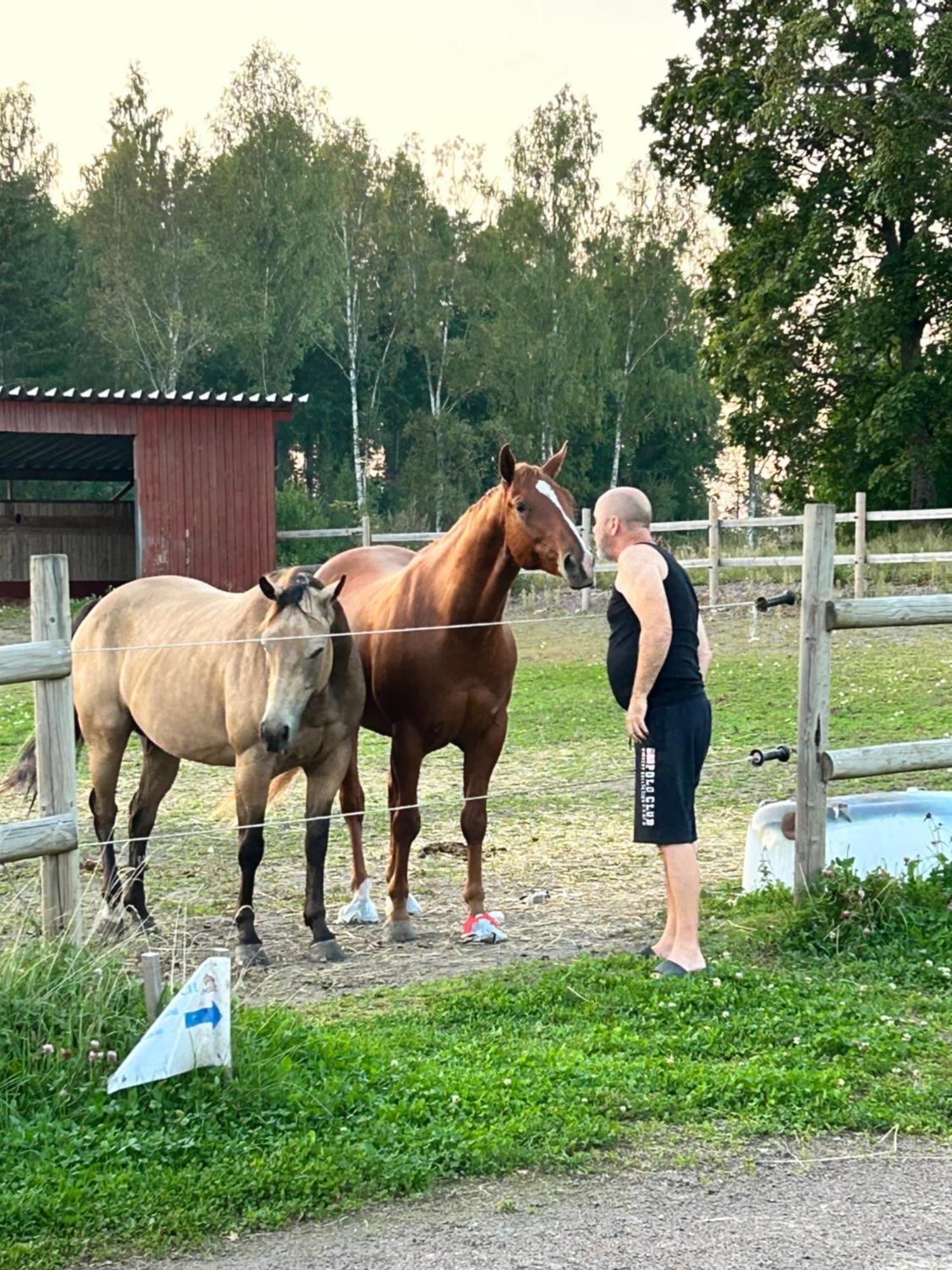 كارلستاد Ulvsby Ranch Western Camp المظهر الخارجي الصورة